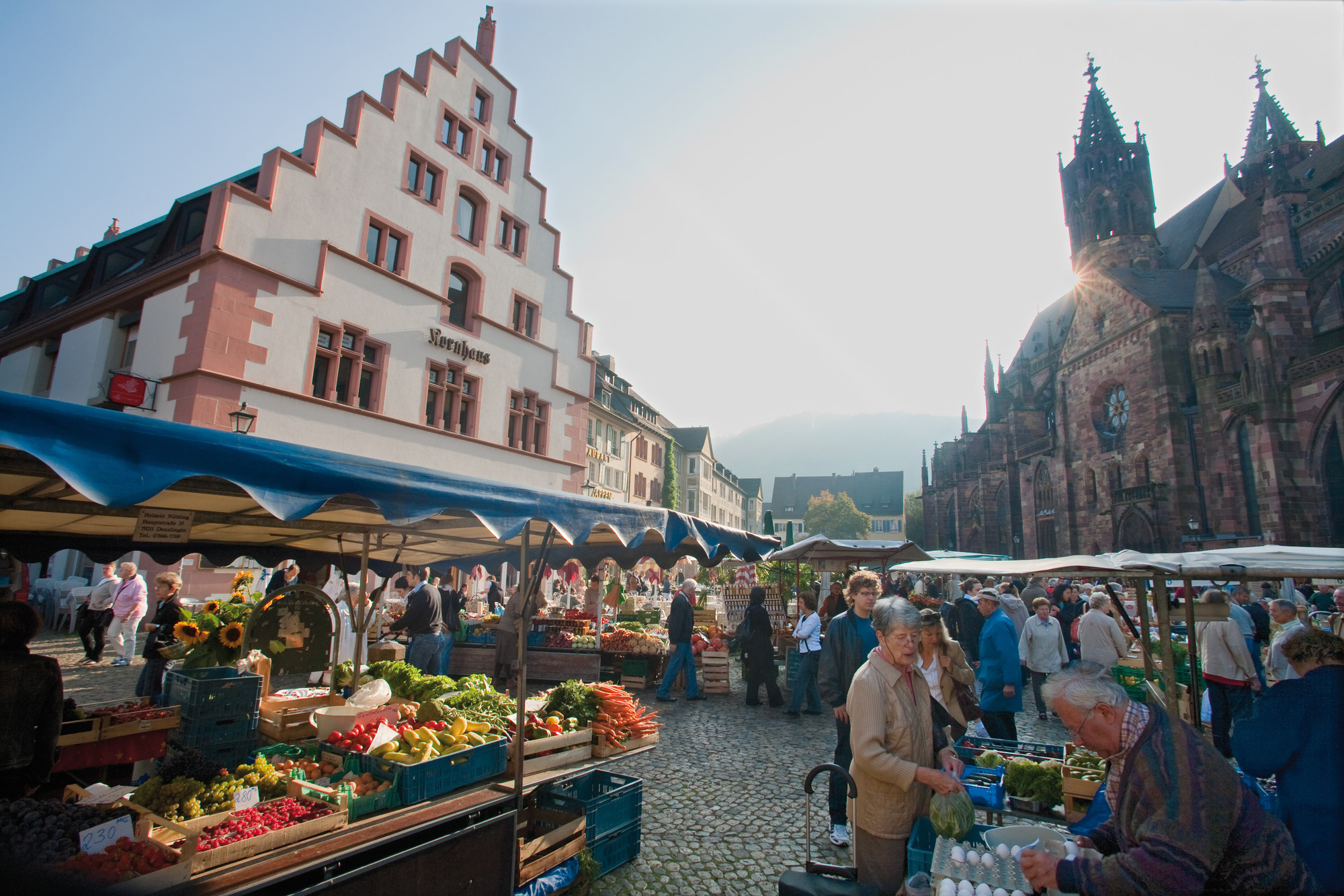 muenster-markt-freiburg