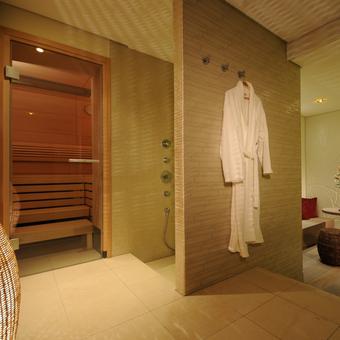 best-western-premier-hotel-victoria-freiburg-sauna
