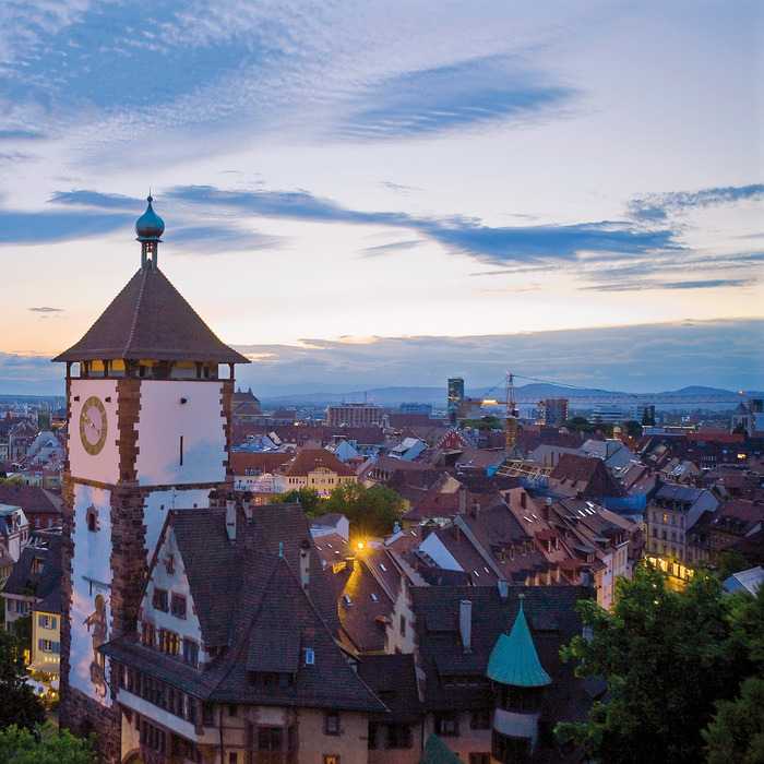 daecher-der-stadt-freiburg